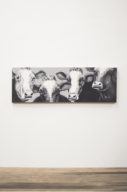 Oil Painting Black And White Four Cows. Each Oil Painting Is Hand Painted On A 1" Thick Canvas With Finished Edges.  71" X 23"T