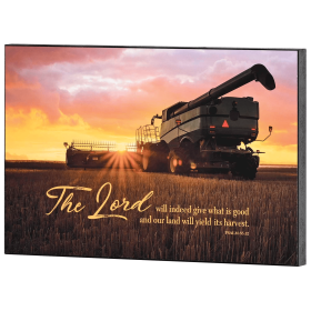 Wall Plaque The Lord Will Indeed Give
