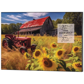 Wall Plaque You Will Always Harvest