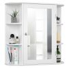 Multipurpose Wall Bathroom Storage Medicine Cabinet Mirror; White