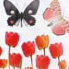 Tulip & Butterfly - Wall Decals Stickers Appliques Home Decor